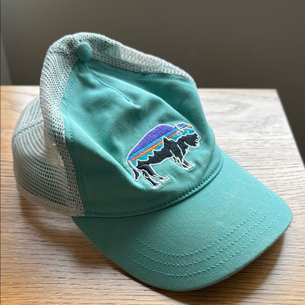 Patagonia hat
